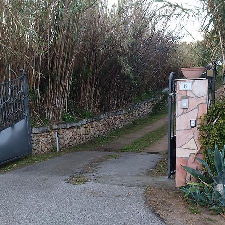 Casa Orecchioni 阿尔扎凯纳 外观 照片