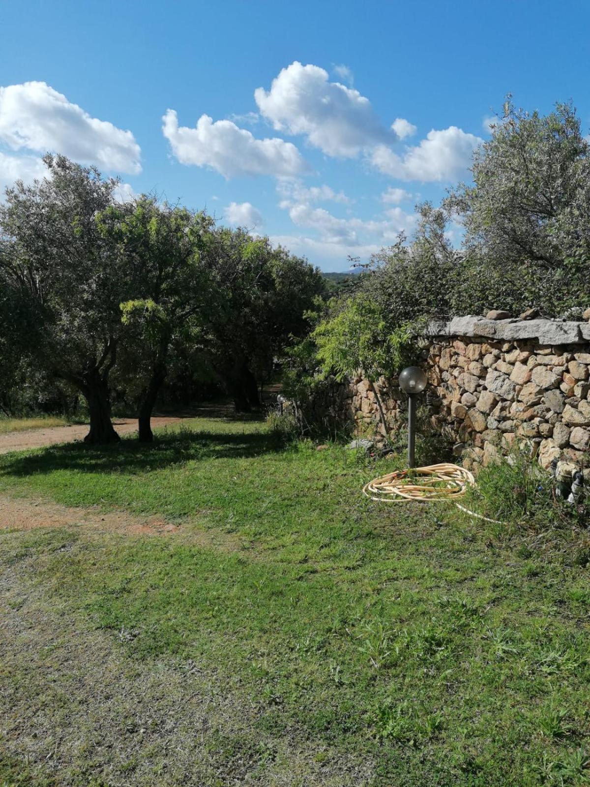 Casa Orecchioni 阿尔扎凯纳 外观 照片